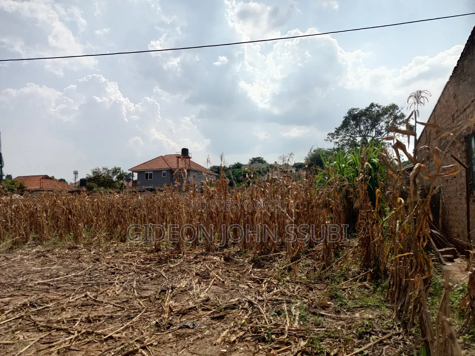 53 Decimals Land in Muyenga