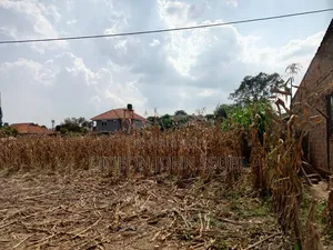 53 Decimals Land in Muyenga