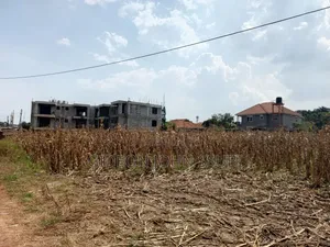 53 Decimals Land in Muyenga