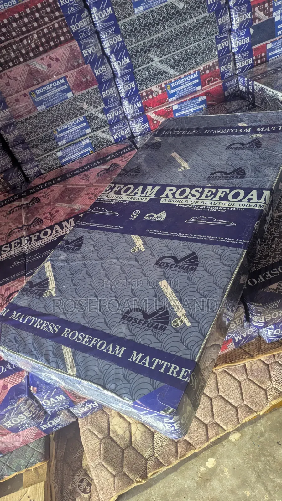 Rosefoam Mattresses 36x6 Tape Edge 6 Inches