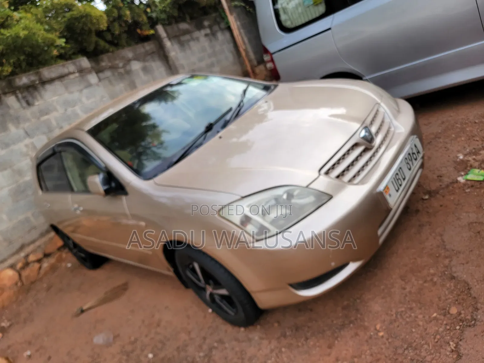 Toyota Allex 2010 Brown
