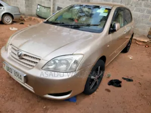 Toyota Allex 2010 Brown