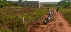 100 By50ft Plot for Sale in Gayaza