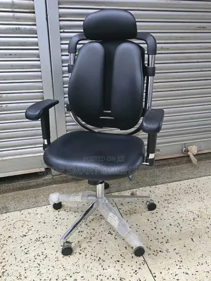 Adjustable Back Support Orthopedic Chair