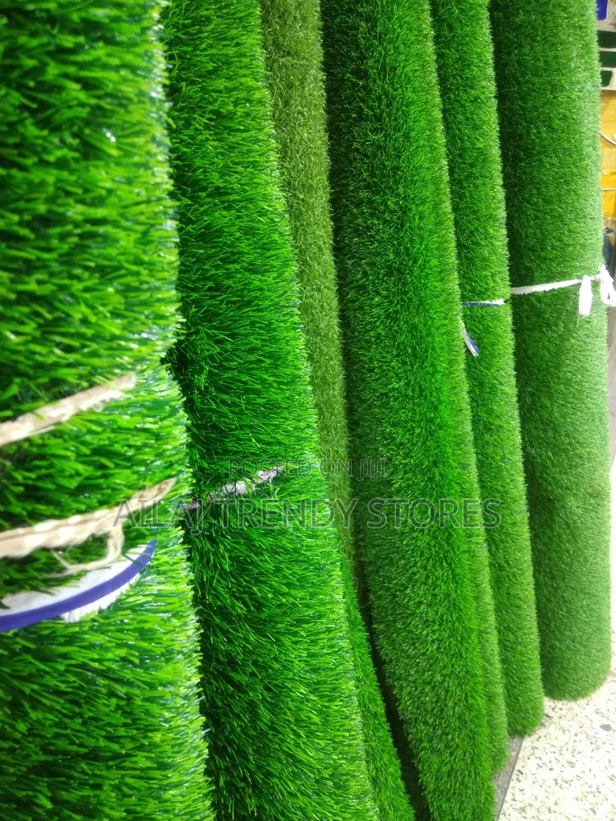 This Wow Grass Per Square Metre