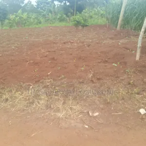Land in Ngogwe Buikwe for Sale