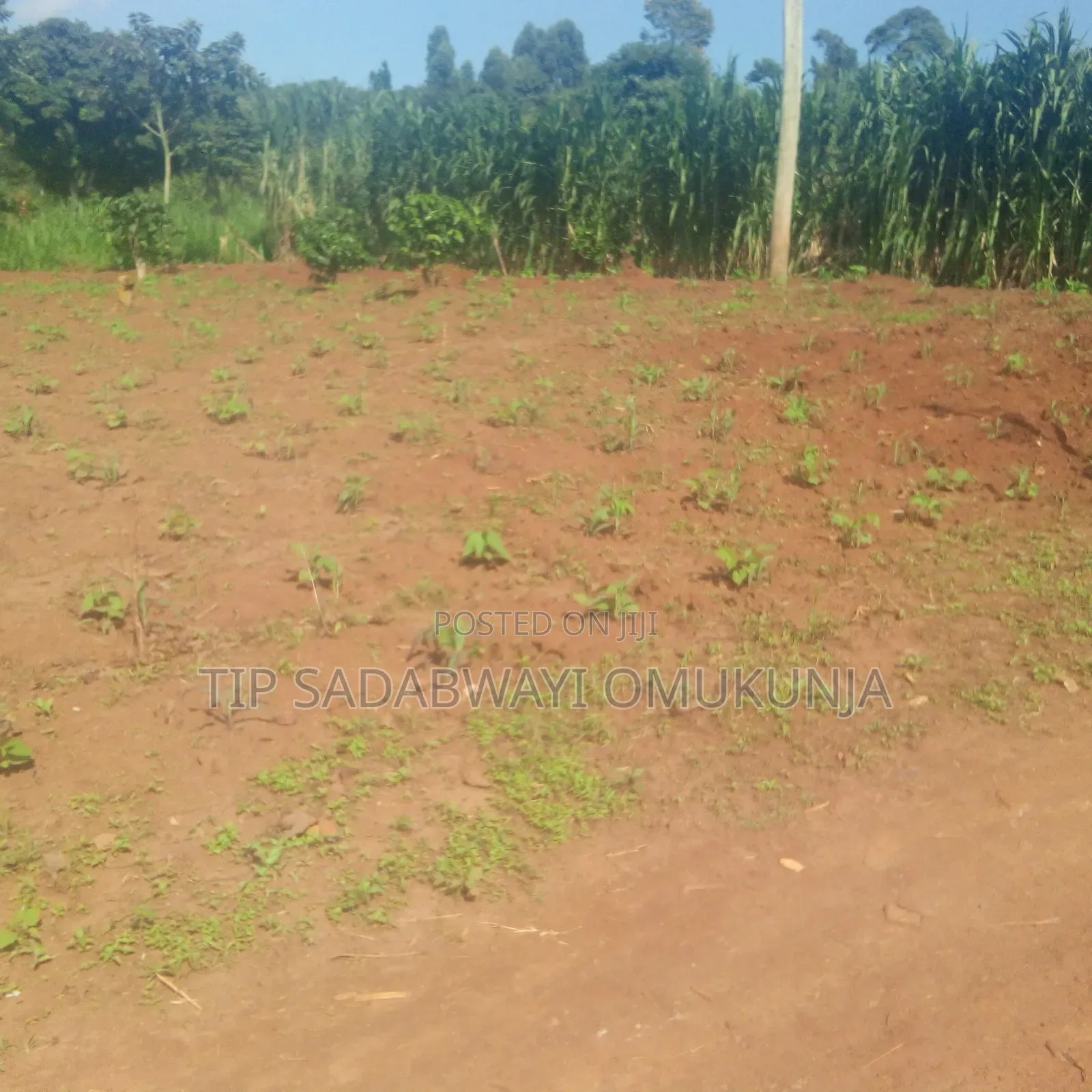 Land in Ngogwe Buikwe for Sale