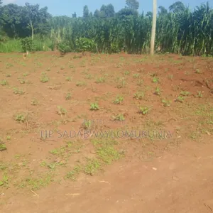 Land in Ngogwe Buikwe for Sale