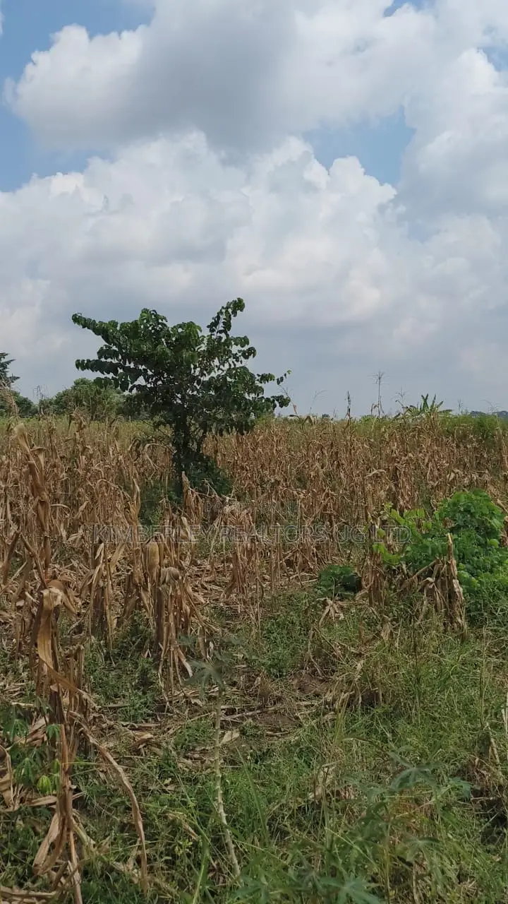Land for Sale – Nazigo, Kayunga–jinja Road