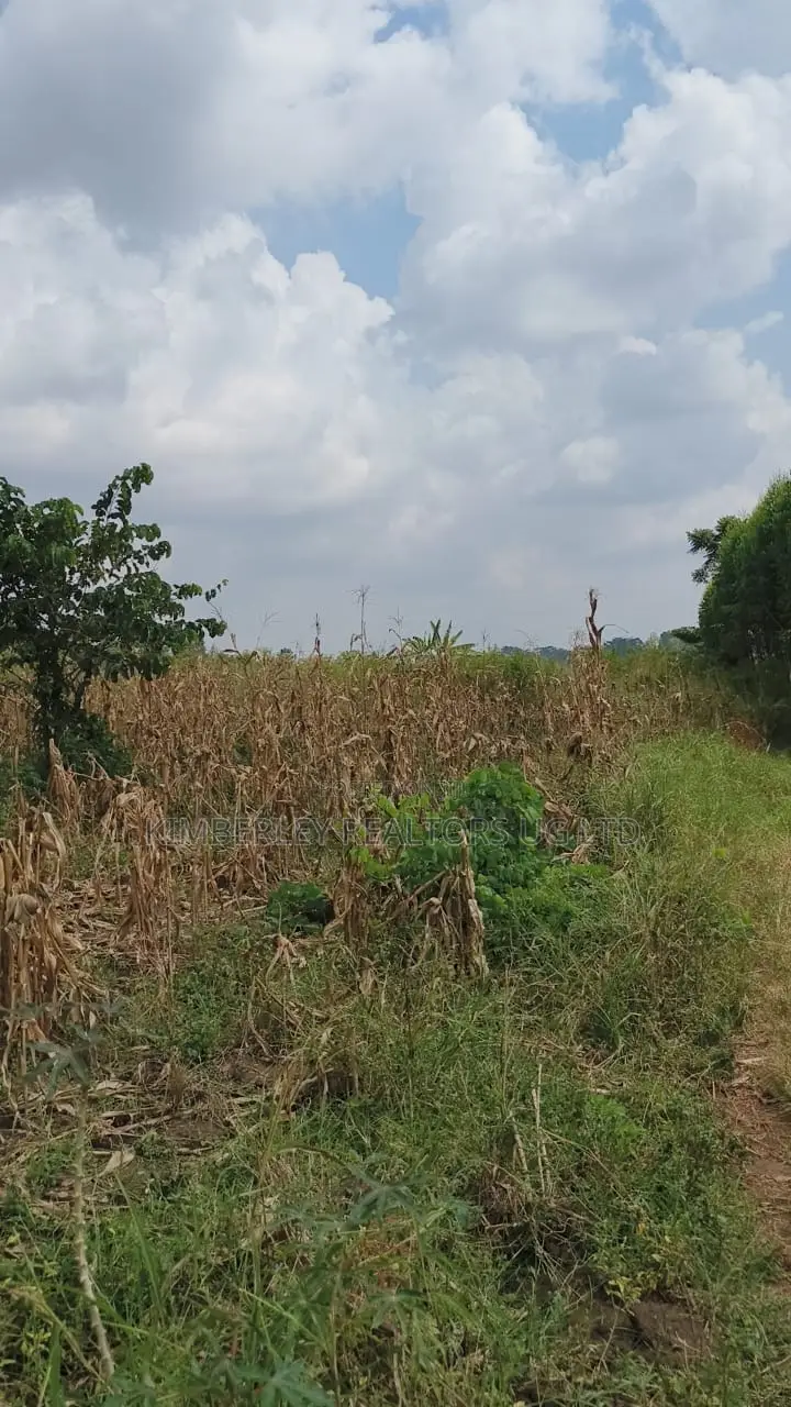 Land for Sale – Nazigo, Kayunga–jinja Road