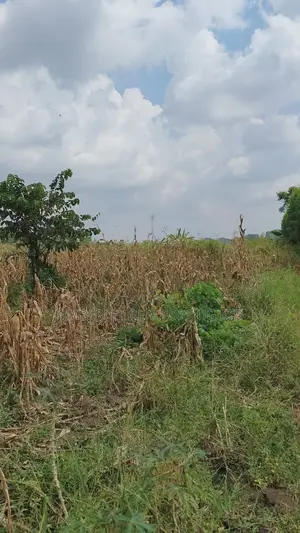 Land for Sale – Nazigo, Kayunga–jinja Road