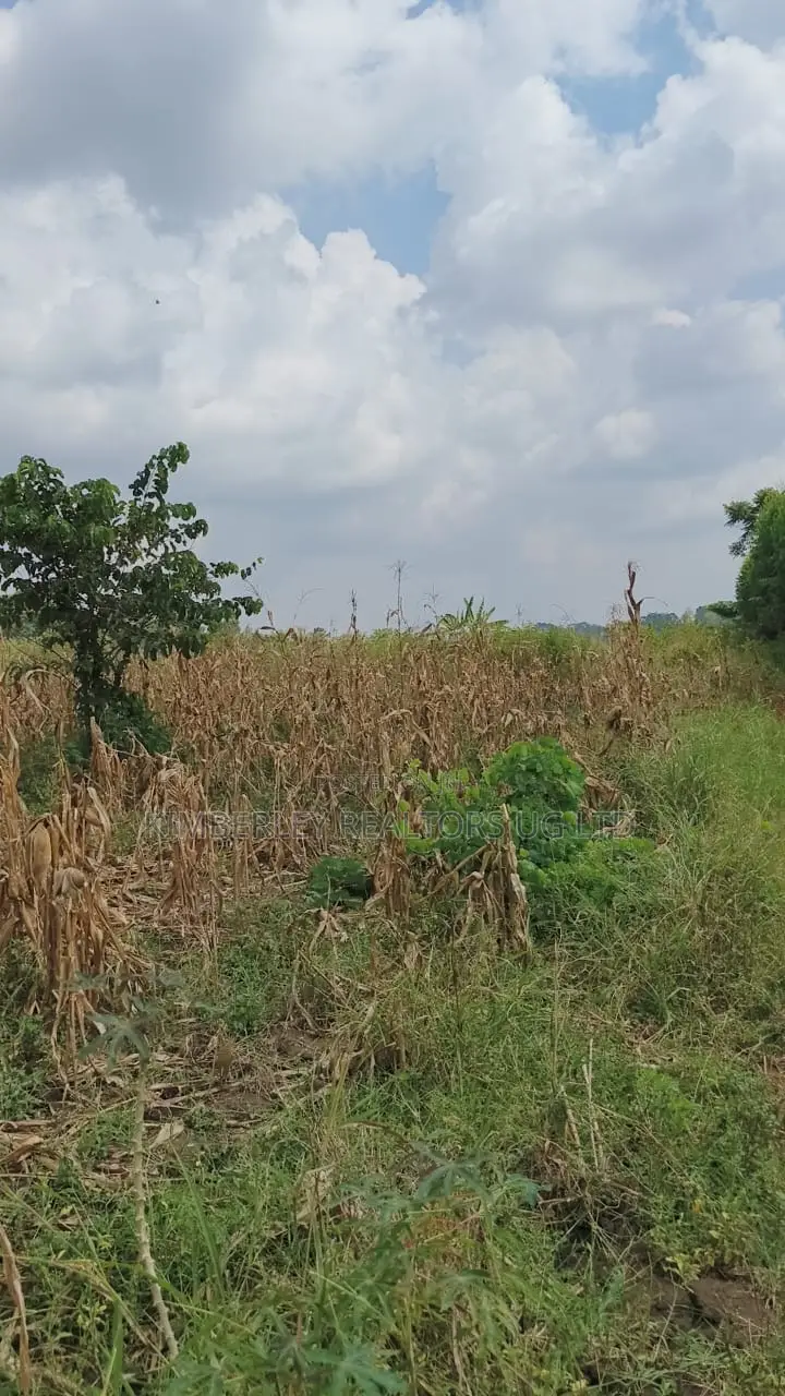 Land for Sale – Nazigo, Kayunga–jinja Road