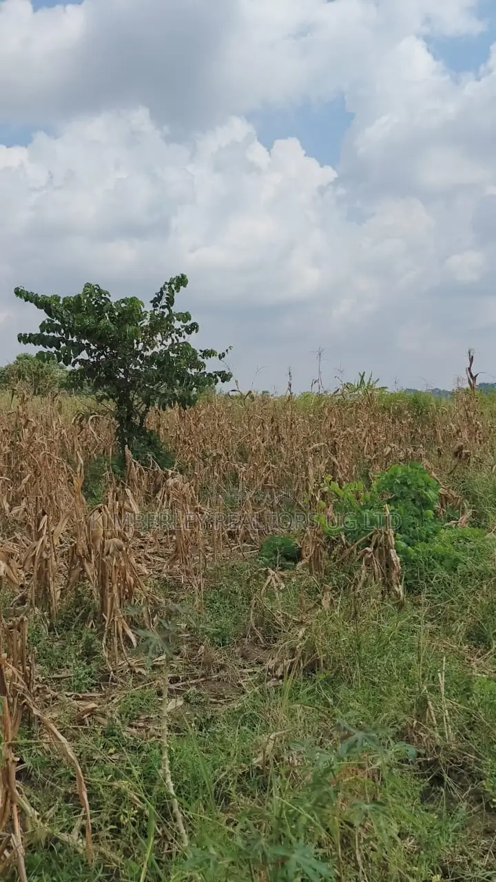 Land for Sale – Nazigo, Kayunga–jinja Road