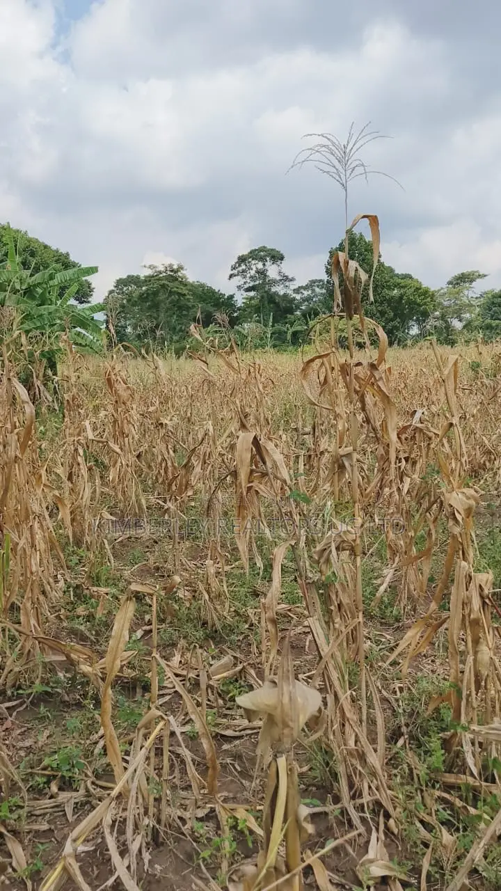 Land for Sale – Nazigo, Kayunga–jinja Road