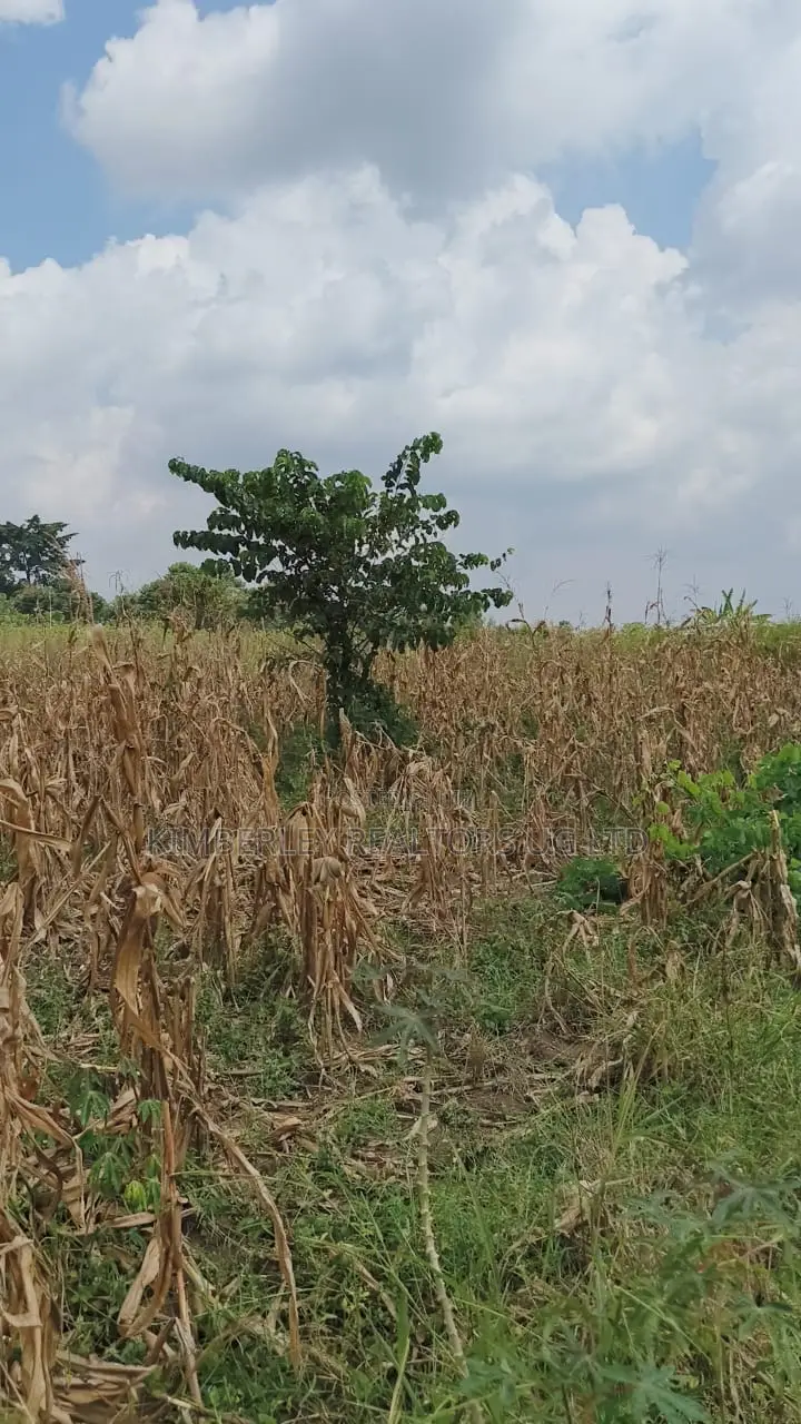 Land for Sale – Nazigo, Kayunga–jinja Road