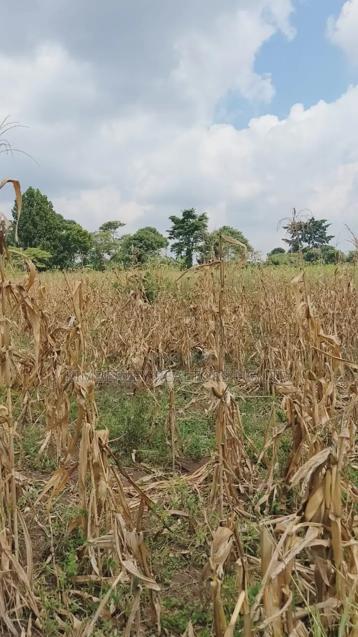 Land for Sale – Nazigo, Kayunga–jinja Road