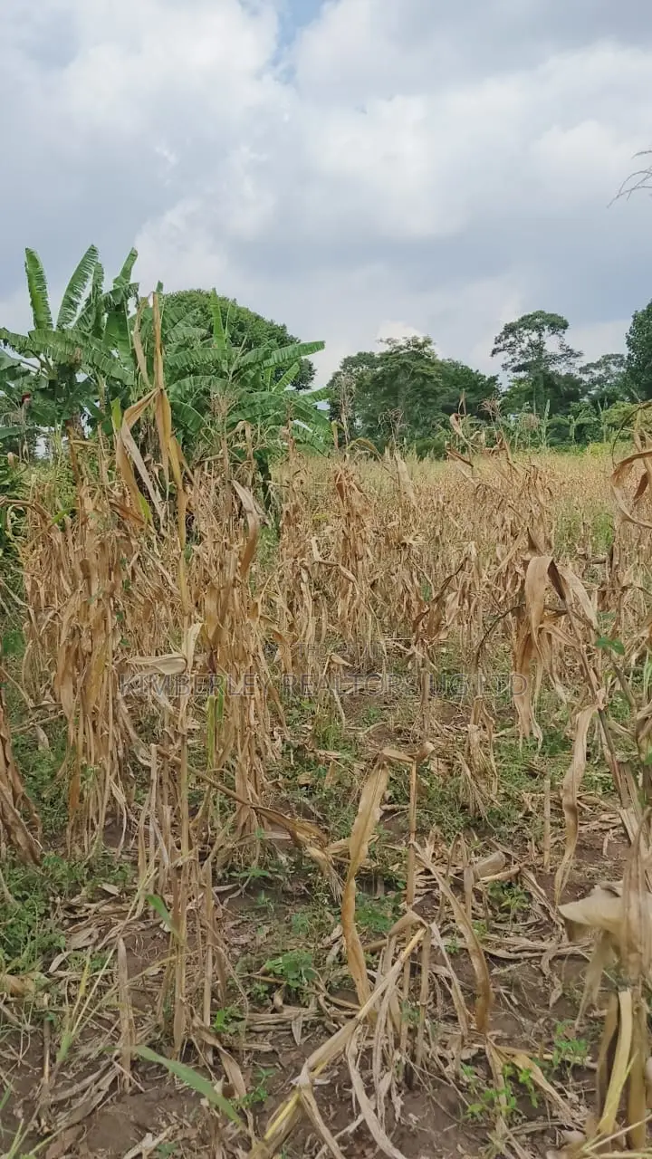 Land for Sale – Nazigo, Kayunga–jinja Road