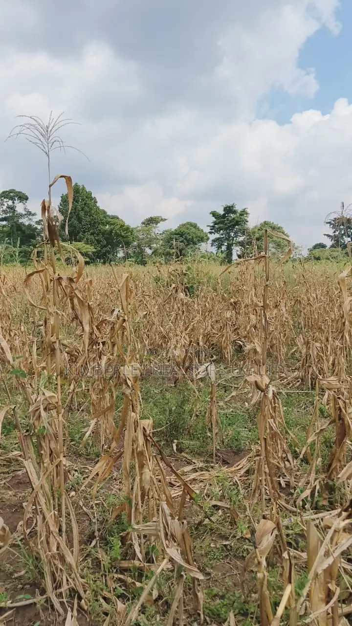 Land for Sale – Nazigo, Kayunga–jinja Road