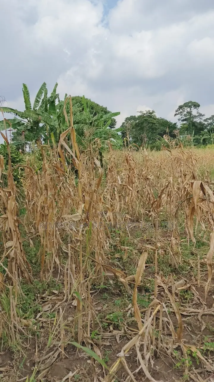 Land for Sale – Nazigo, Kayunga–jinja Road