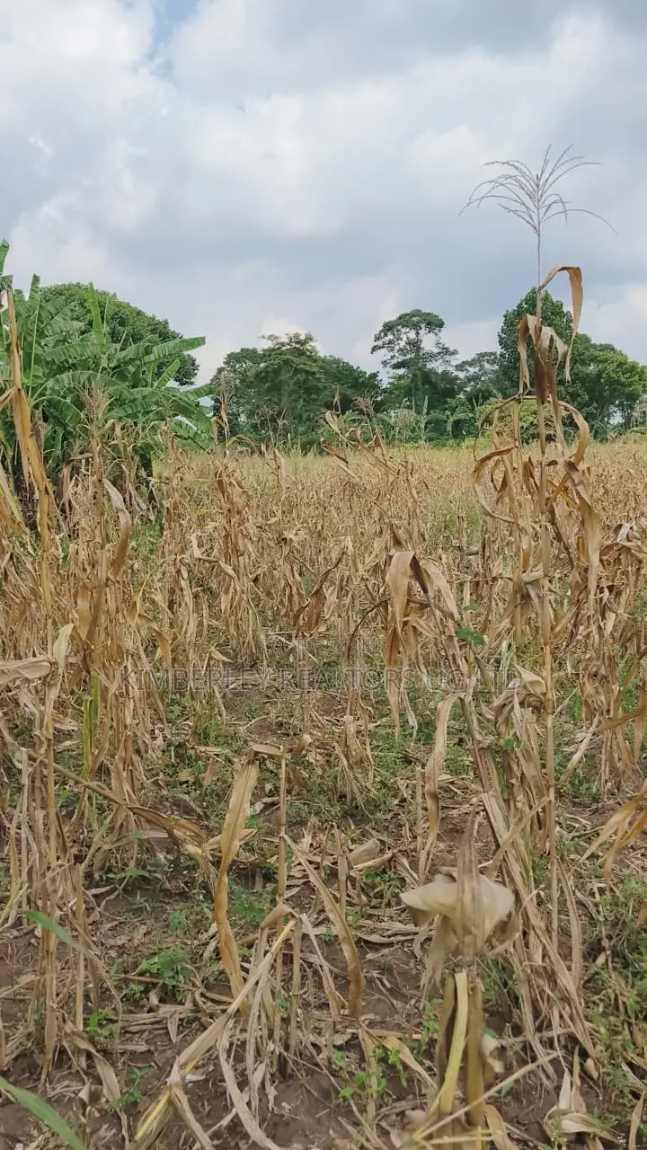 Land for Sale – Nazigo, Kayunga–jinja Road