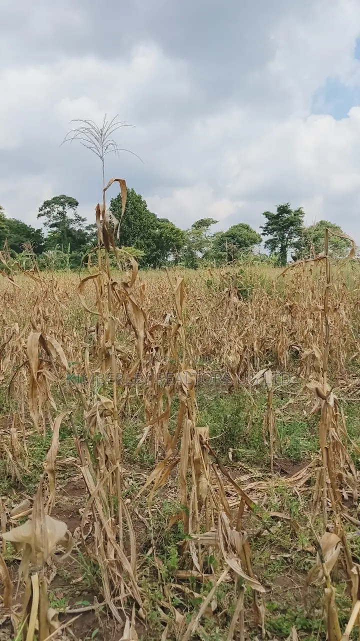 Land for Sale – Nazigo, Kayunga–jinja Road