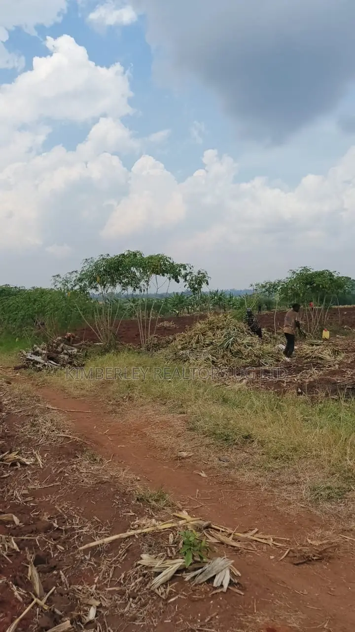 Land for Sale – Bugiri, Kayunga–jinja Road