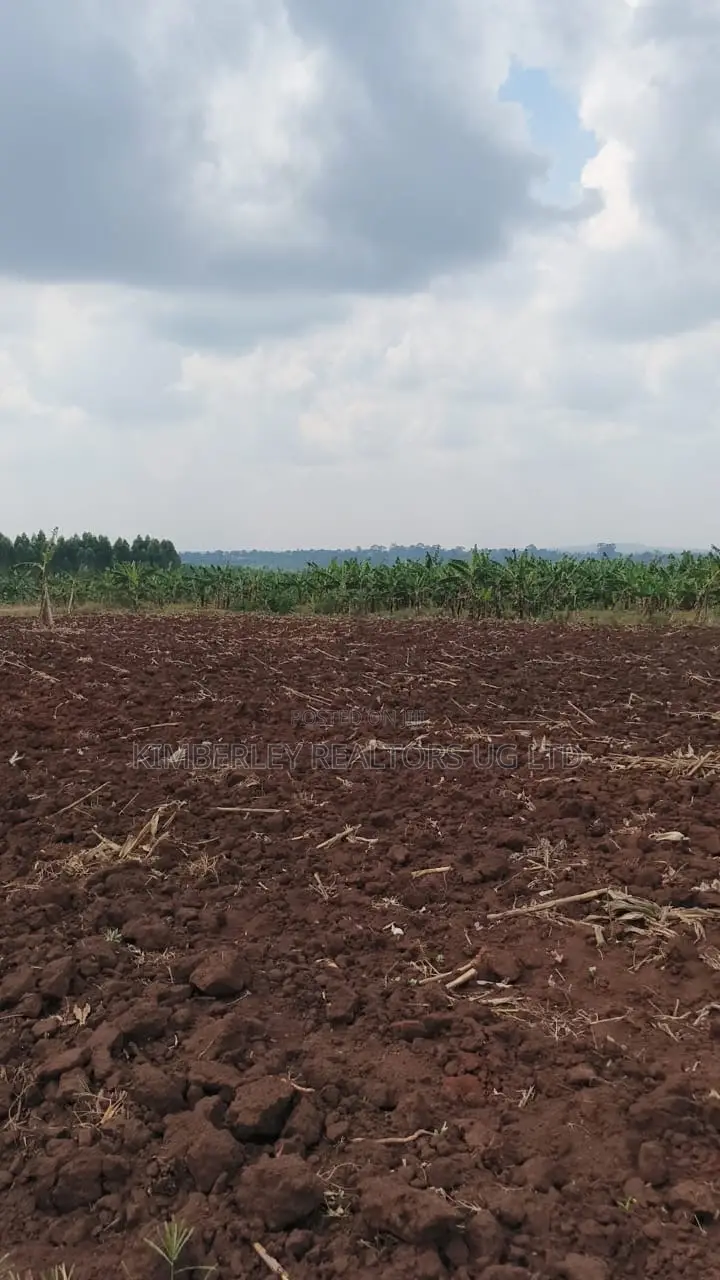 Land for Sale – Bugiri, Kayunga–jinja Road
