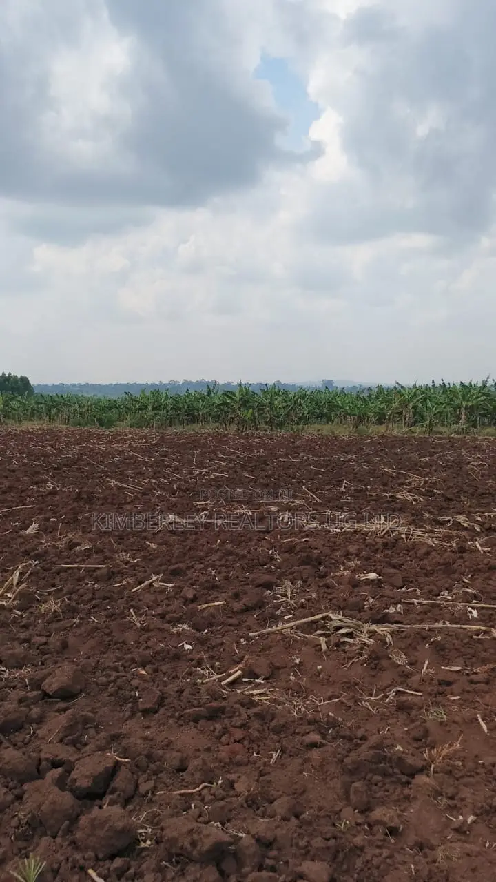 Land for Sale – Bugiri, Kayunga–jinja Road