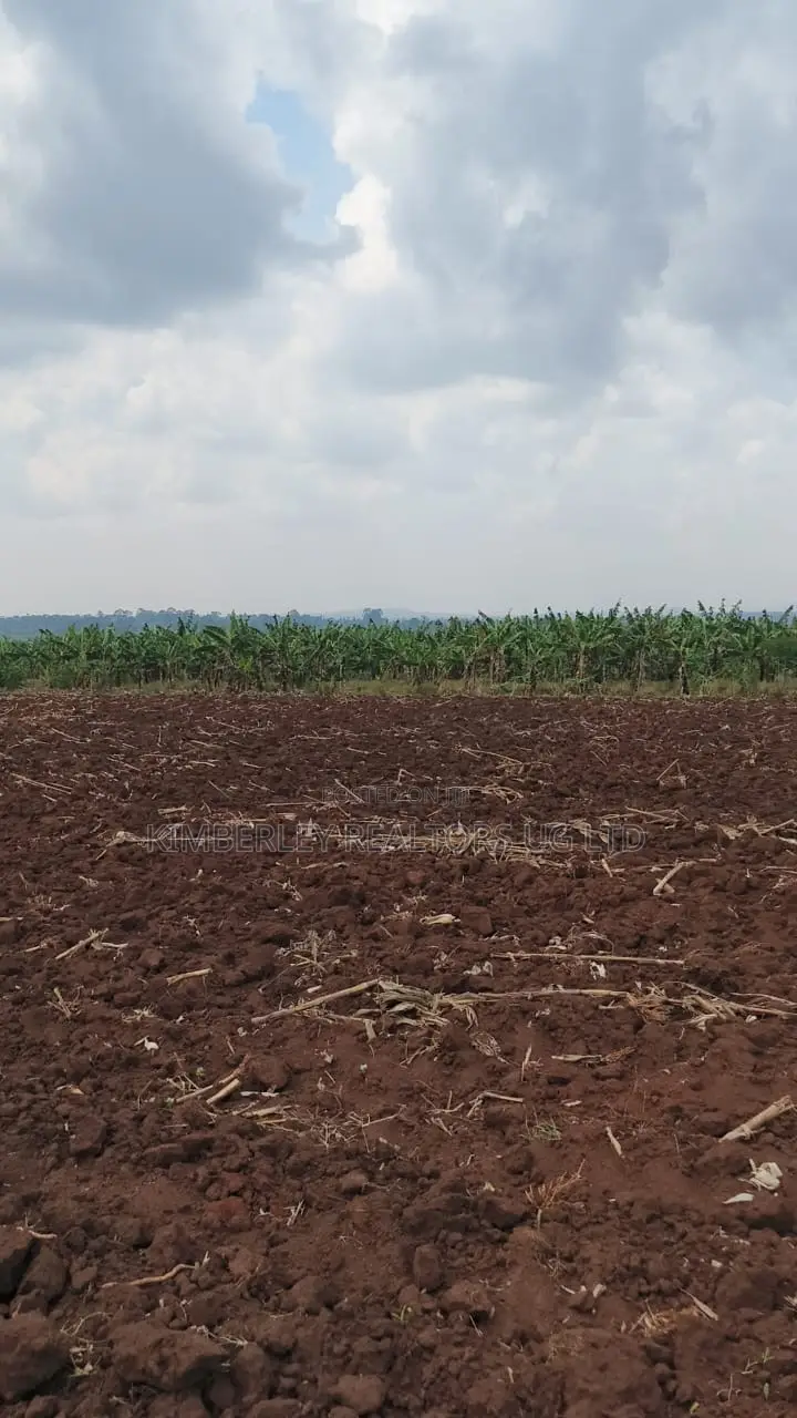 Land for Sale – Bugiri, Kayunga–jinja Road