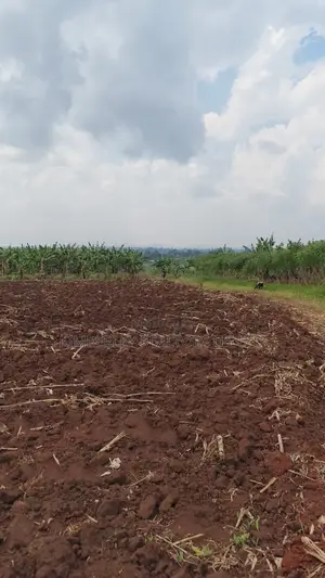 Land for Sale – Bugiri, Kayunga–jinja Road