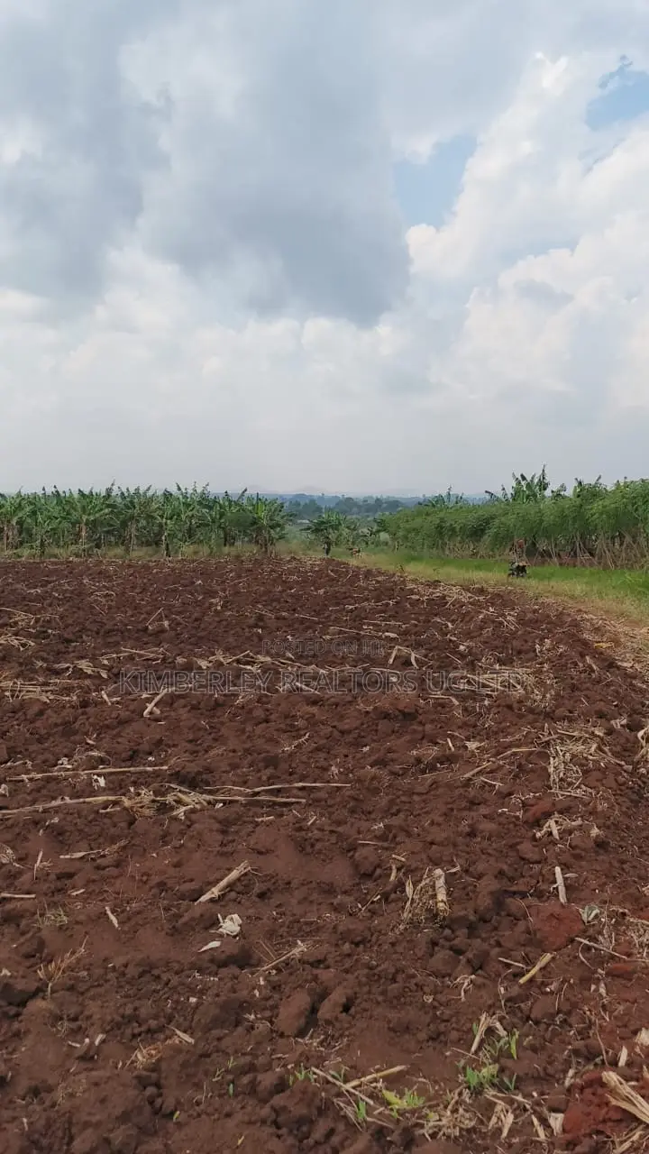 Land for Sale – Bugiri, Kayunga–jinja Road