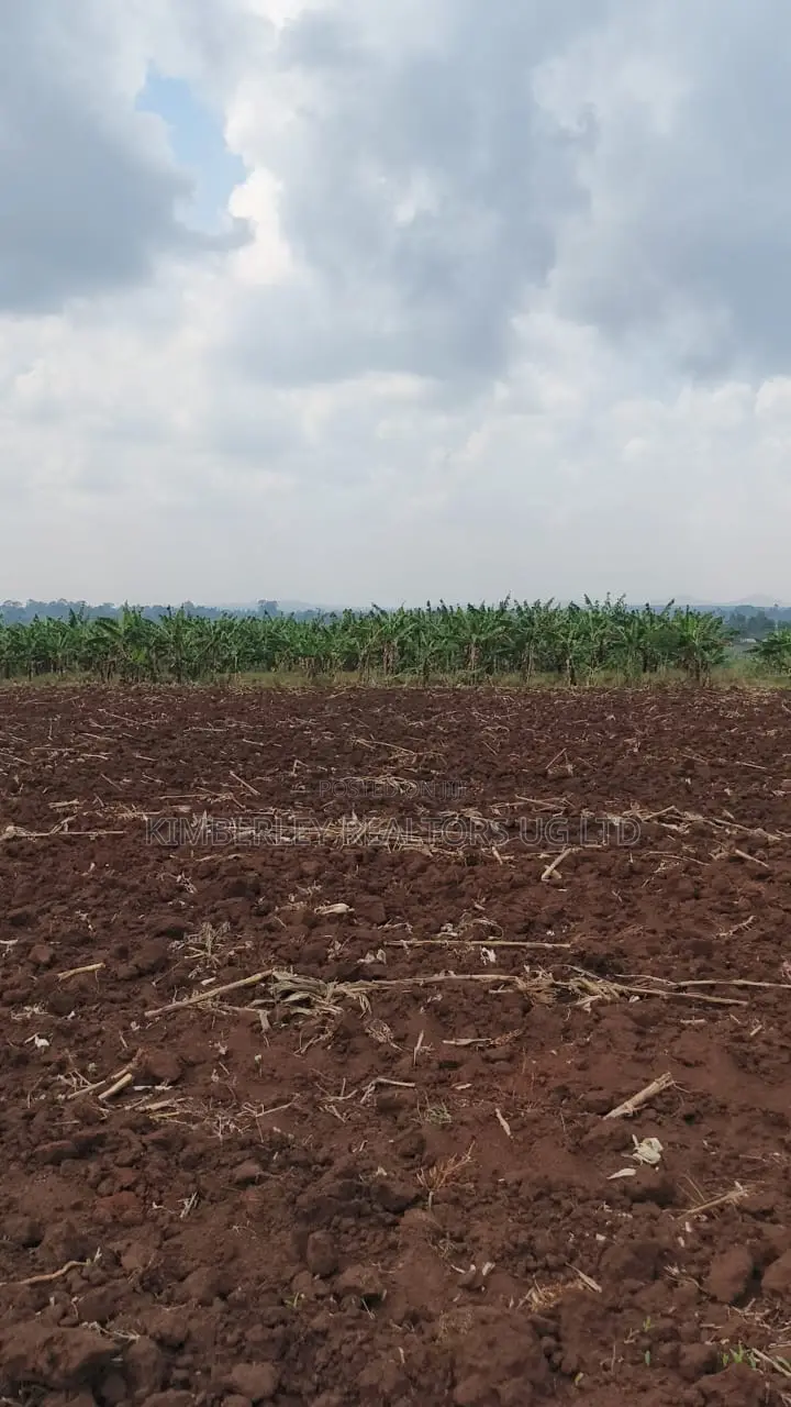 Land for Sale – Bugiri, Kayunga–jinja Road