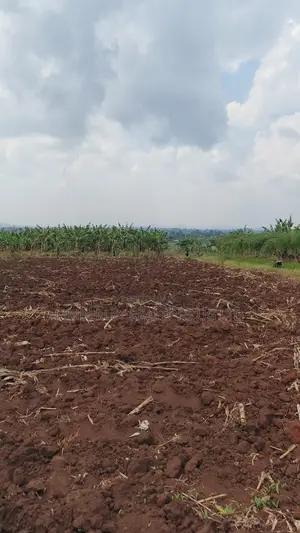 Land for Sale – Bugiri, Kayunga–jinja Road