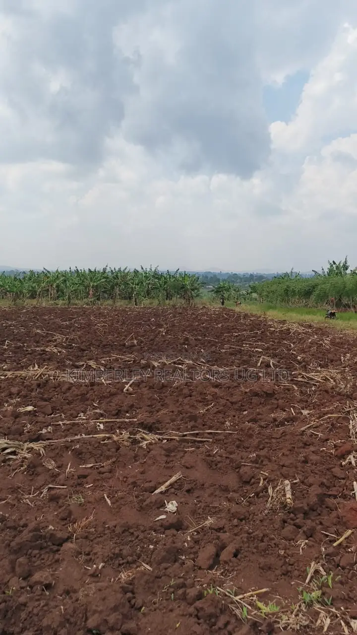 Land for Sale – Bugiri, Kayunga–jinja Road