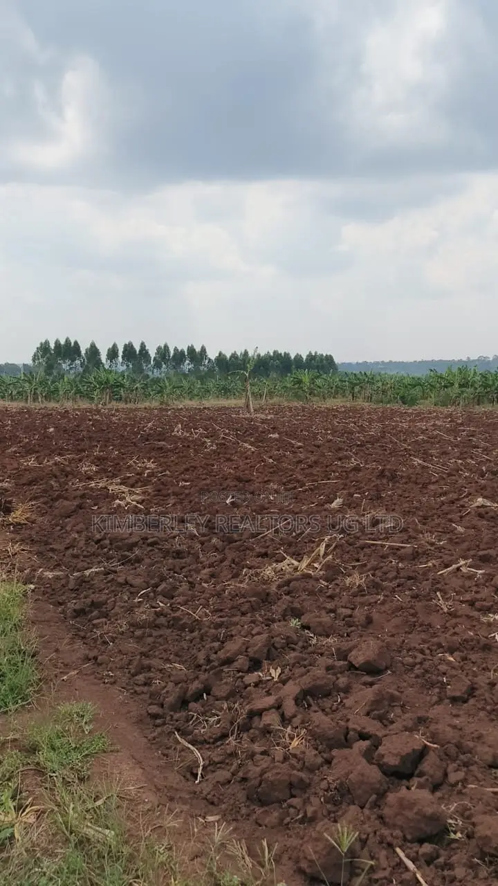 Land for Sale – Bugiri, Kayunga–jinja Road