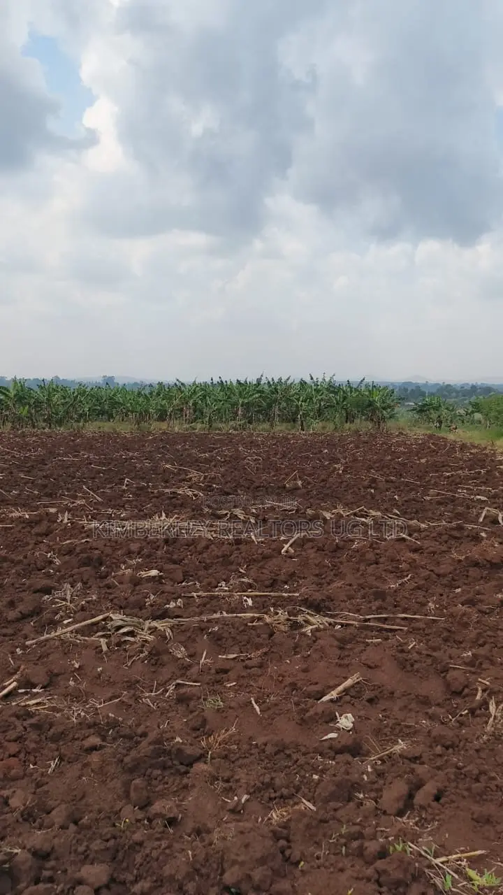 Land for Sale – Bugiri, Kayunga–jinja Road