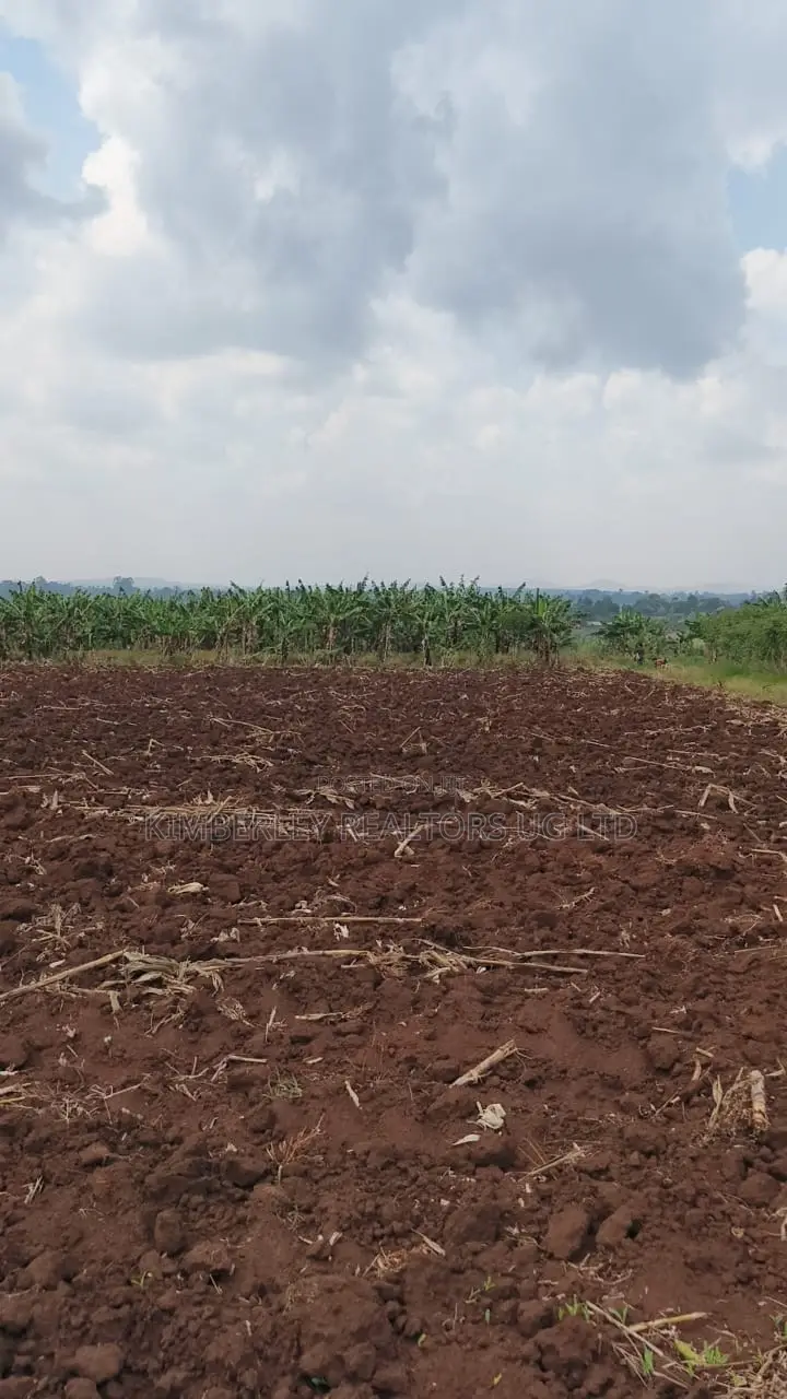 Land for Sale – Bugiri, Kayunga–jinja Road