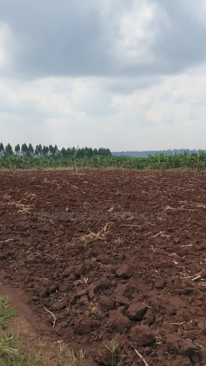 Land for Sale – Bugiri, Kayunga–jinja Road