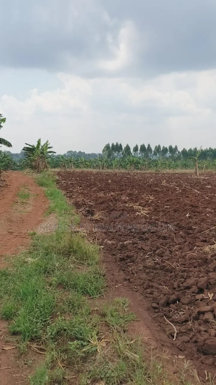 Land for Sale – Bugiri, Kayunga–jinja Road