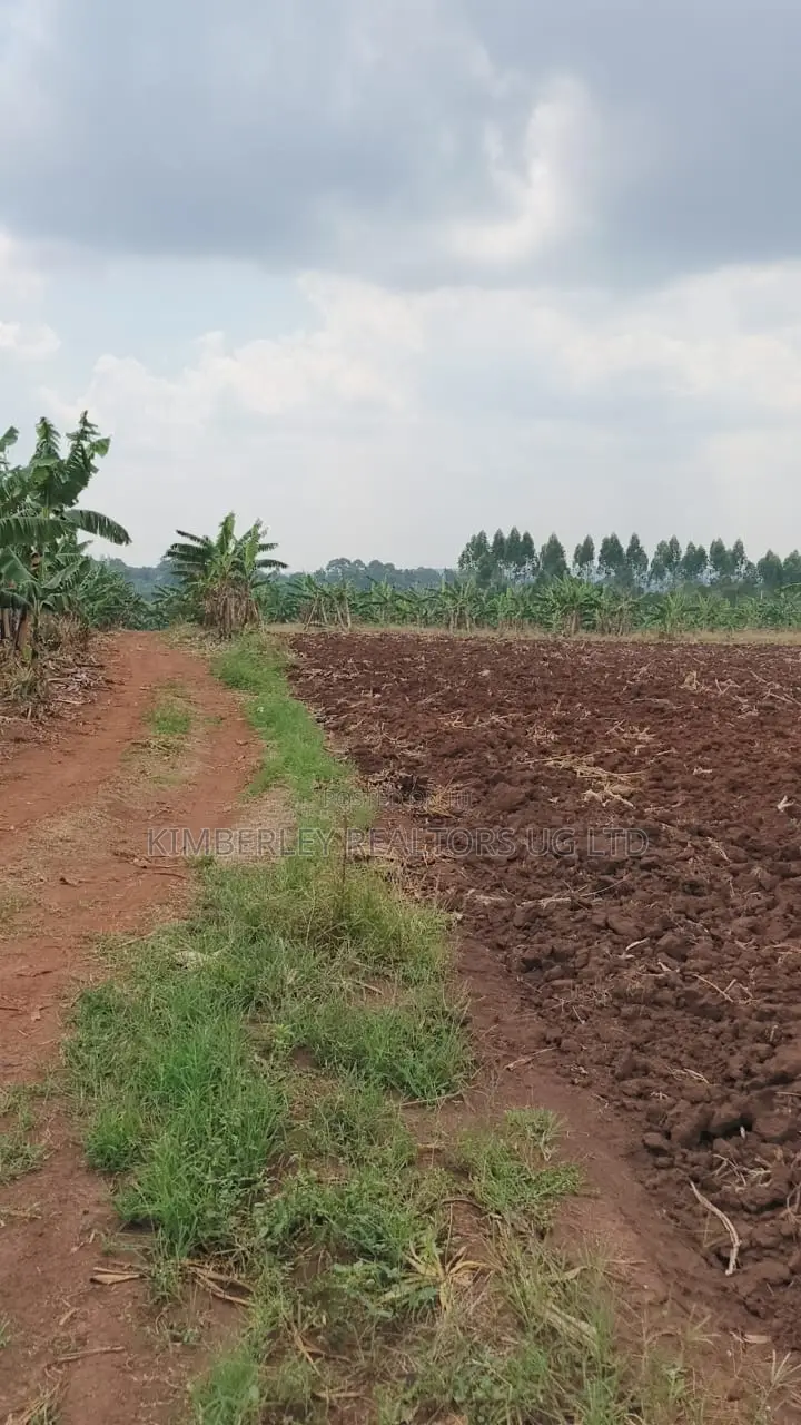 Land for Sale – Bugiri, Kayunga–jinja Road