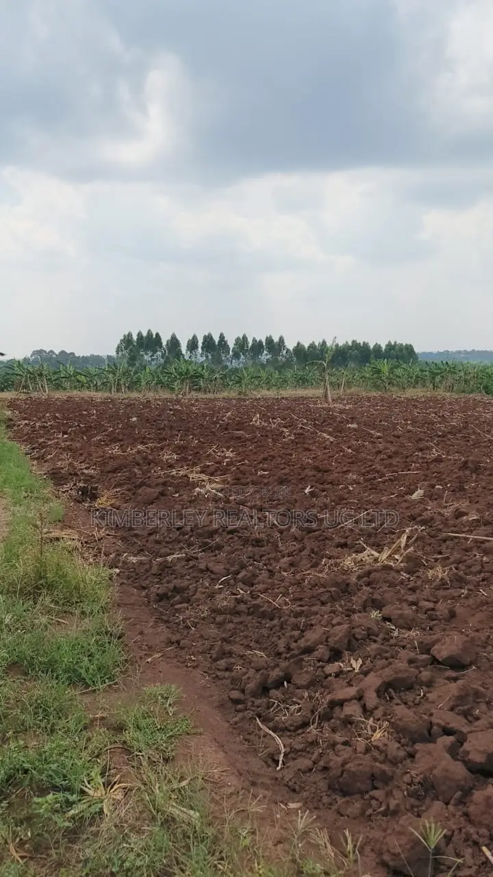 Land for Sale – Bugiri, Kayunga–jinja Road