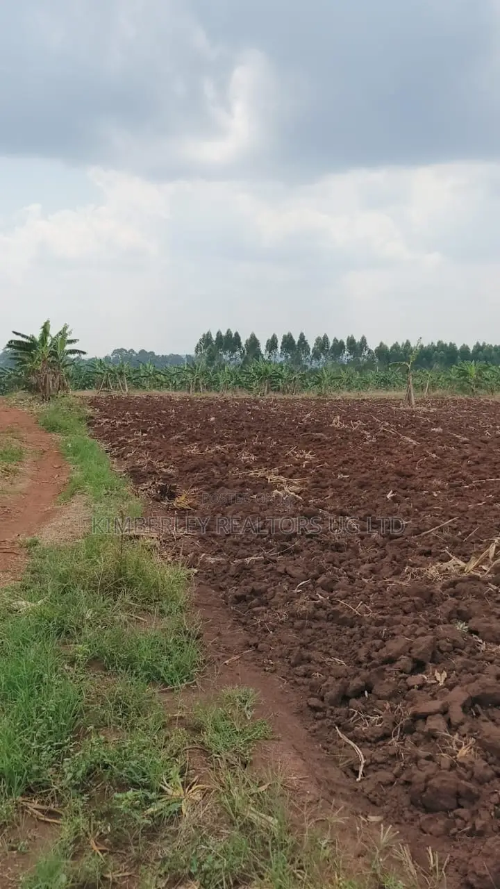 Land for Sale – Bugiri, Kayunga–jinja Road