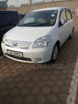 Toyota Raum 2011 Gray