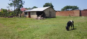 Plot for Sale in Bugema Mbale City. Land Size 60x80ft