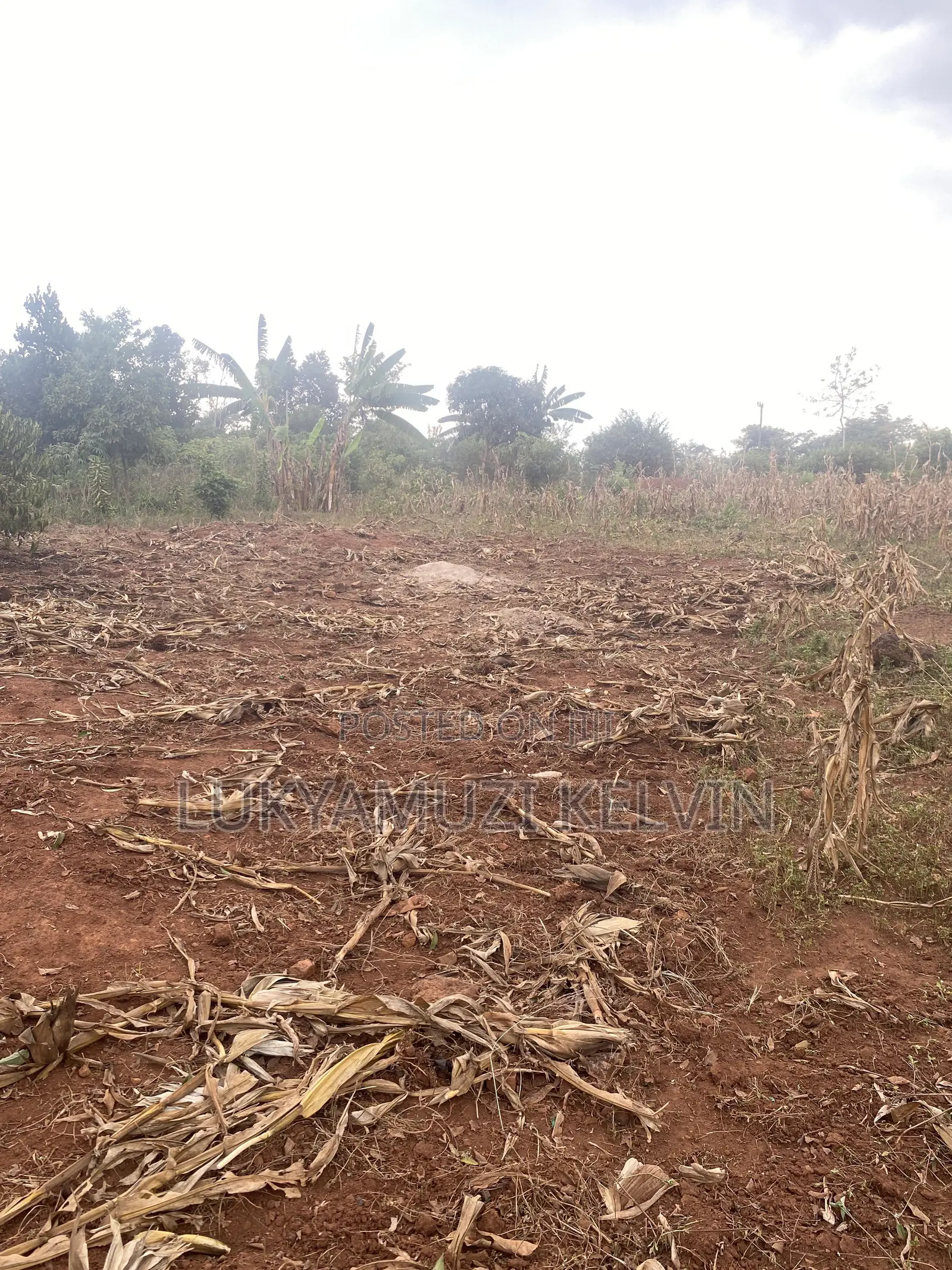 Land in Kayunga District
