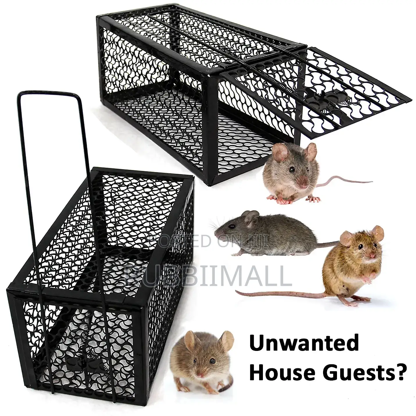 Rat Trap / Mouse Trap