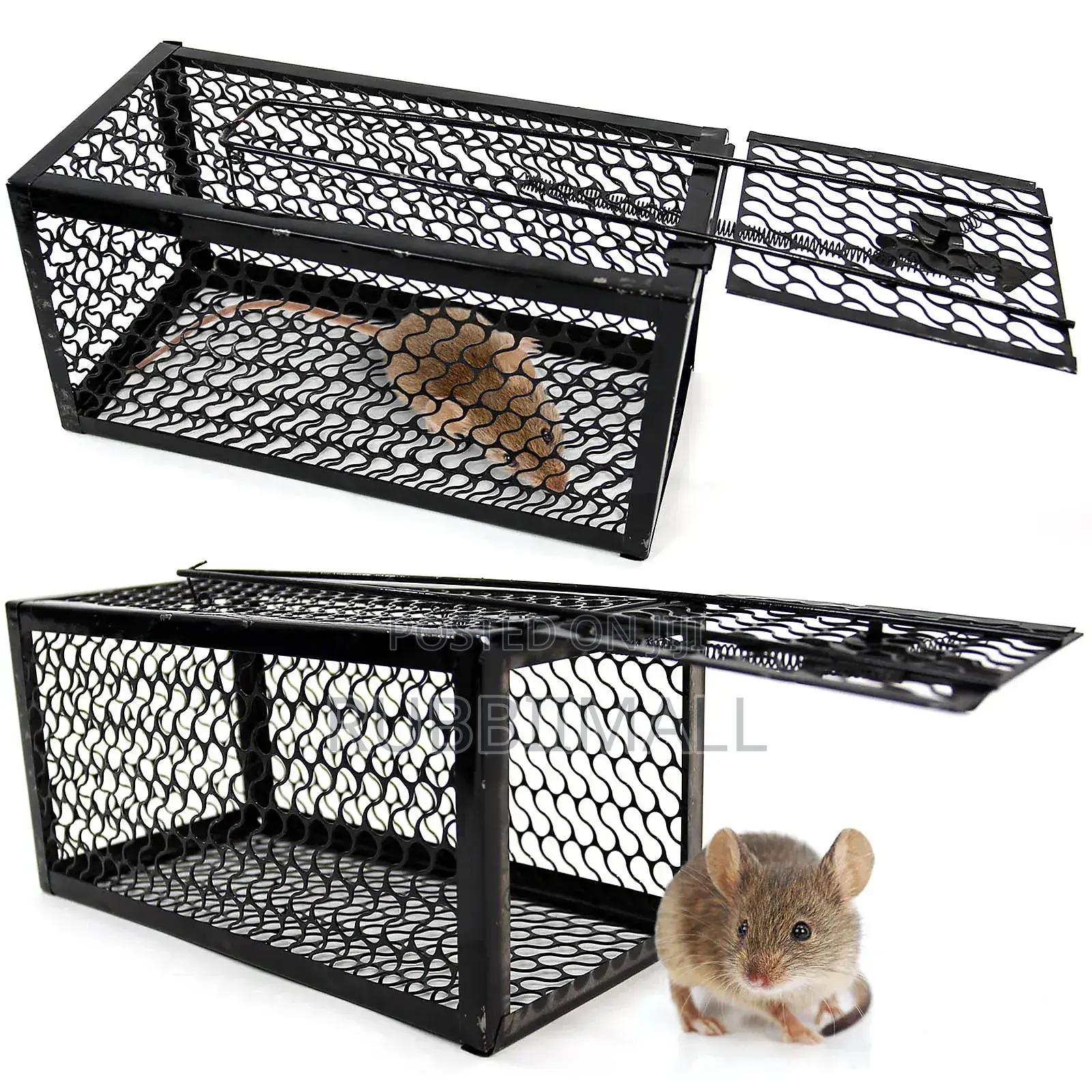 Rat Trap / Mouse Trap
