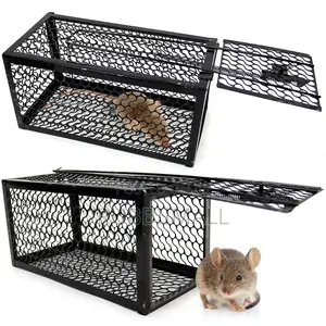 Rat Trap / Mouse Trap