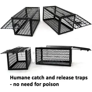 Rat Trap / Mouse Trap