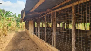 Plot for Sale in Mwera Town Council